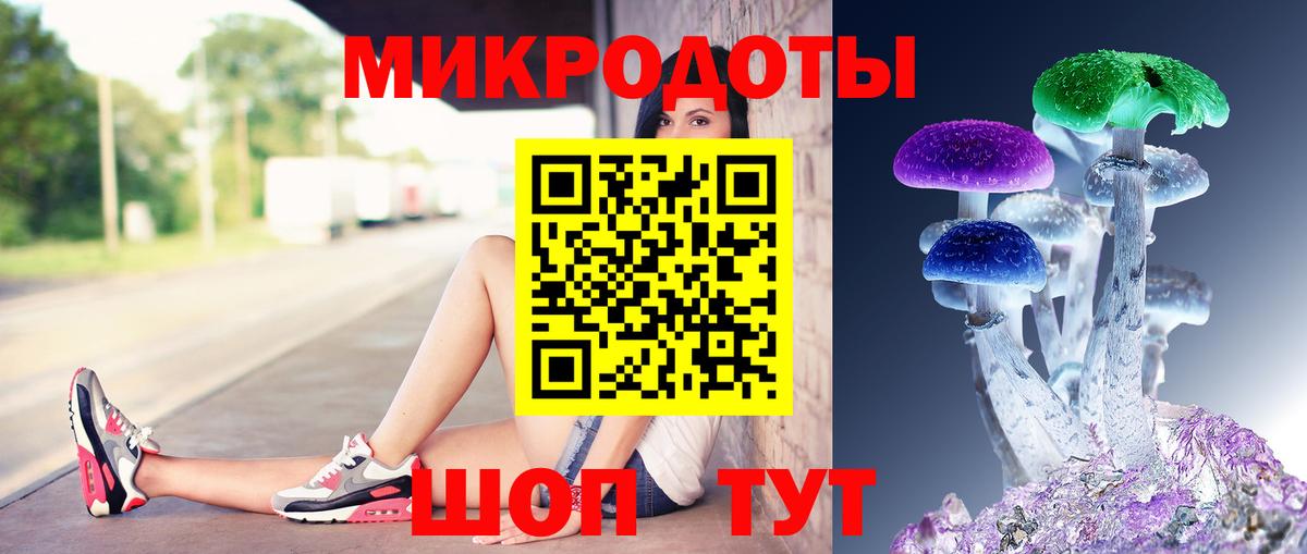 Ярославль  Галлюциногенные грибы GOLDEN TEACHER  Вход с VPN  Галлюциногенные грибы MAGIC MUSHROOMS 